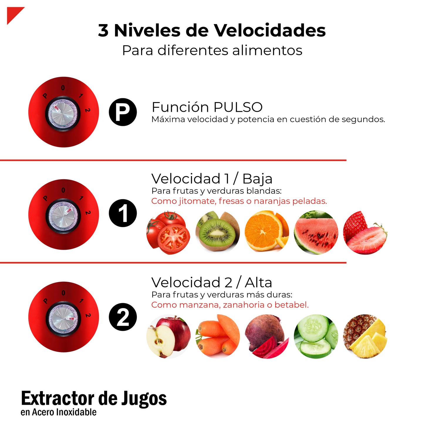 Extractor de frutas y verduras para jugos Bogner