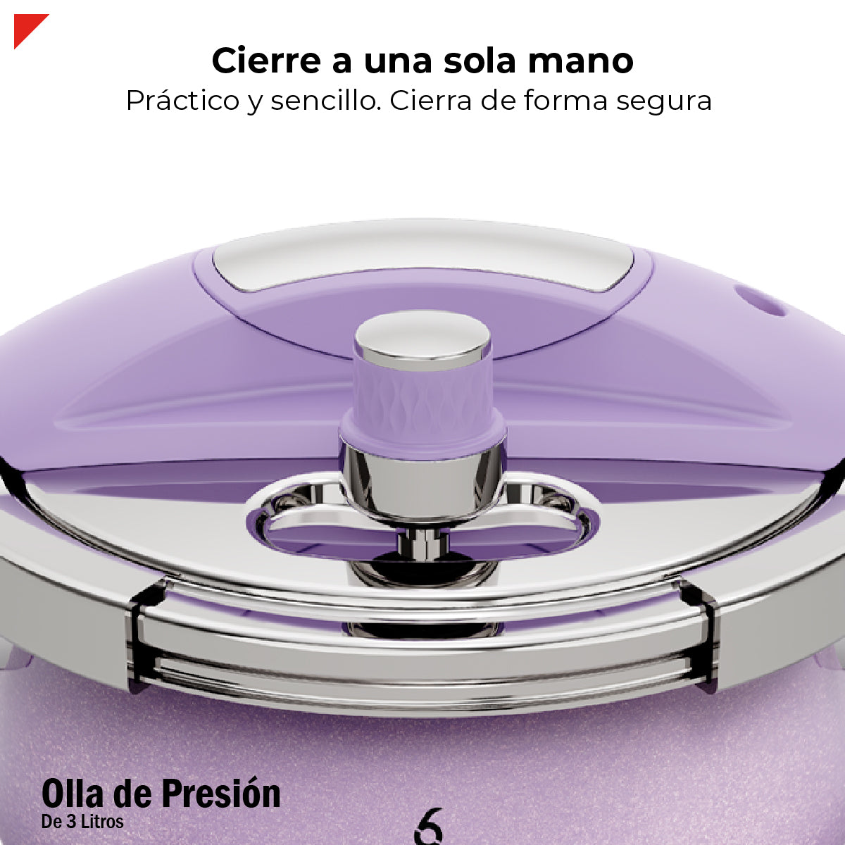 Bogner Olla De Presión 3l Acero Inox 304 Color Morado BPC03P