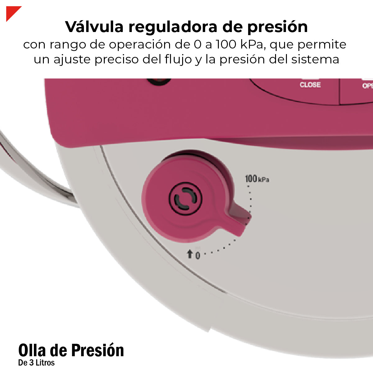 Olla De Presión Bogner 3l Inoxidable 304 Alta Seguridad
