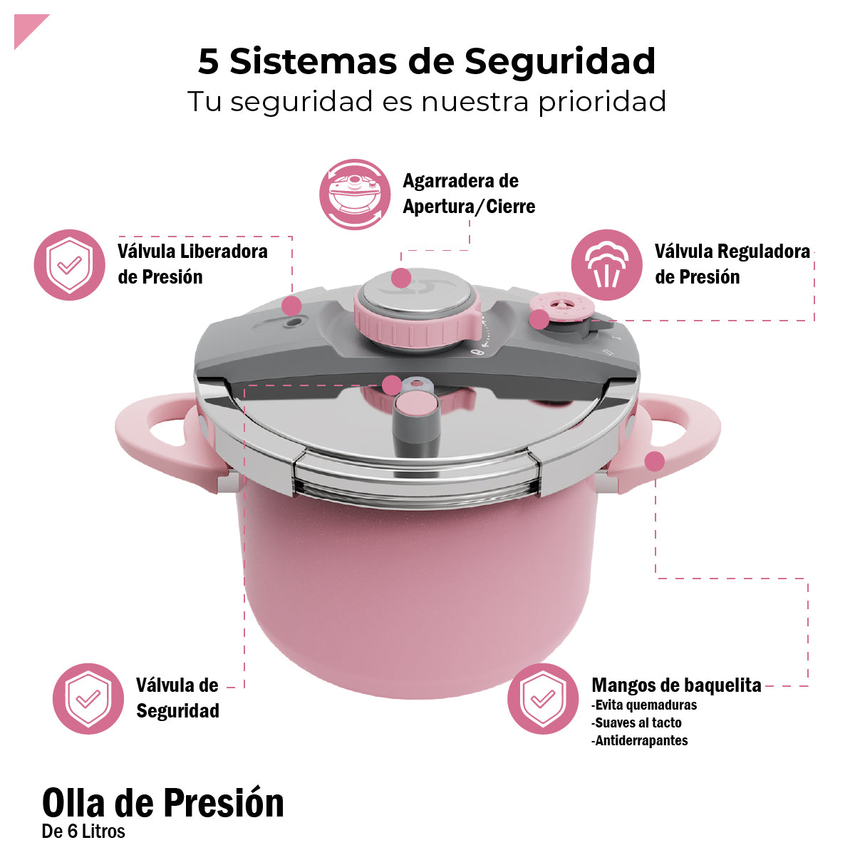Bogner Olla De Presión 6l Acero Inox Rosa BPC06P