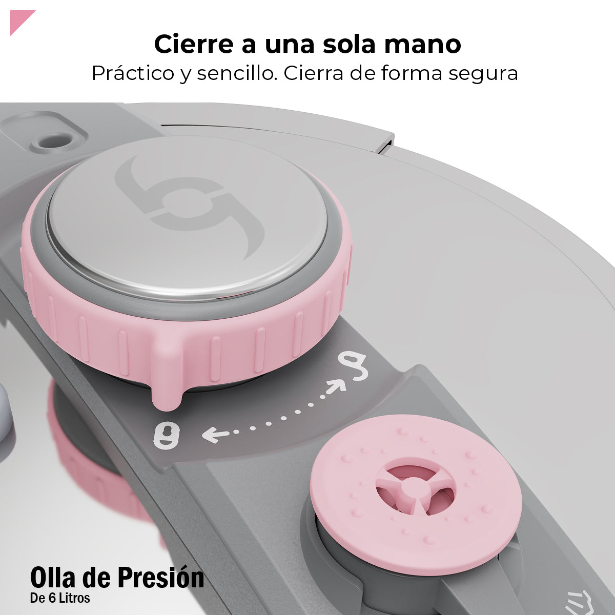 Bogner Olla De Presión 6l Acero Inox Rosa BPC06P