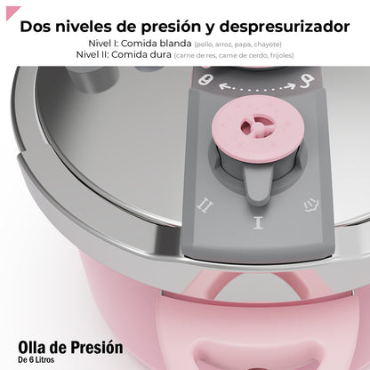 Bogner Olla De Presión 6l Acero Inox Rosa BPC06P