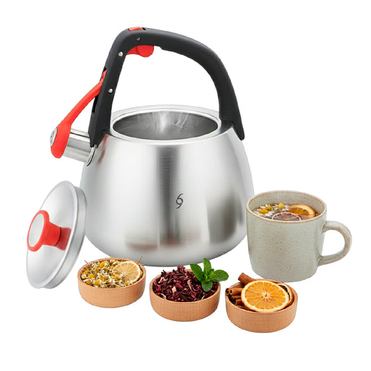 Tetera Bogner 2.5l Acero Inoxidable Bwk25 Compatible Estufas