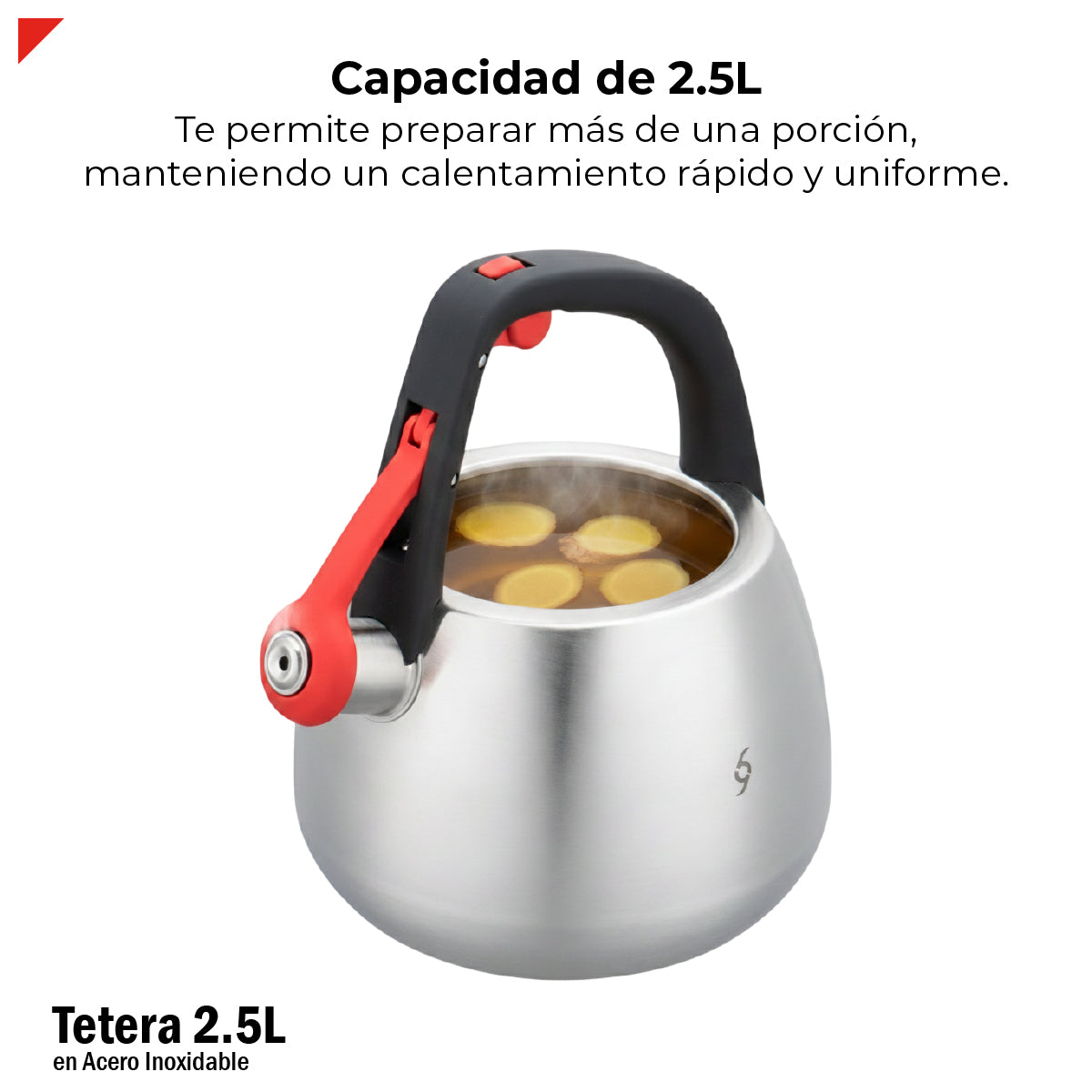 Tetera Bogner 2.5l Acero Inoxidable Bwk25 Compatible Estufas