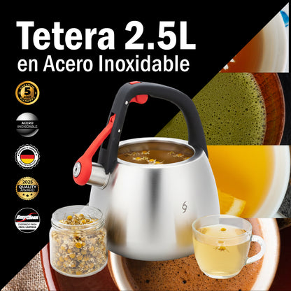 Tetera Bogner 2.5l Acero Inoxidable Bwk25 Compatible Estufas
